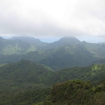 Poamoho Ridge Trail - A magnificent view at the end of Poamoho. - Hiking Near Me - Wahiawa, Hawaii Poamoho Ridge Trail - A magnificent view at the end of Poamoho. - Hiking Near Me - Wahiawa, Hawaii