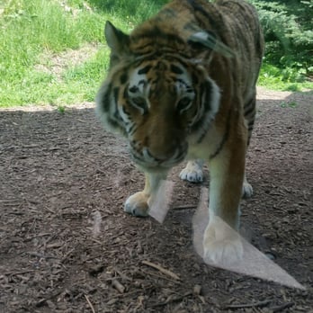 Dublin Zoo - Zoos Near Me - Dublin, D Dublin Zoo - Zoos Near Me - Dublin, D