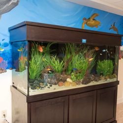 INSPIRED LIVING AT SUGAR LAND - 6400 Oilfield Rd, Sugar Land, Texas - Yelp