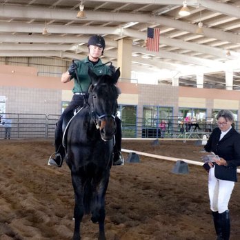 Albuquerque Equestrian Cup - My fav! - Festivals Near Me - Albuquerque, New Mexico