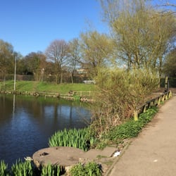 Alexandra Park