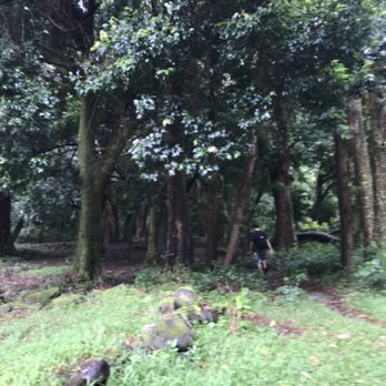 The Kaniakapupu Ruins - Access Restricted - Landmarks & Historical Buildings Near Me - Honolulu, Hawaii
