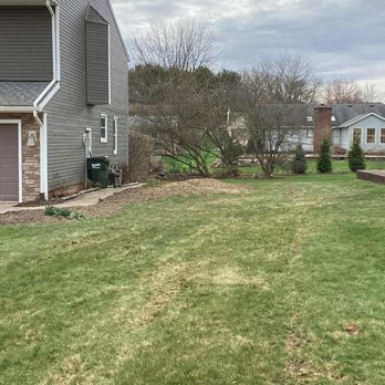Clean Cut Tree Solutions - Tree Services Near Me - Killbuck, Ohio Clean Cut Tree Solutions - Tree Services Near Me - Killbuck, Ohio