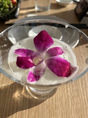 Fuji at Kendall by null