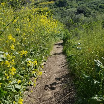 Buck Gully Reserve - Hiking Near Me - Newport Coast, California Buck Gully Reserve - Hiking Near Me - Newport Coast, California