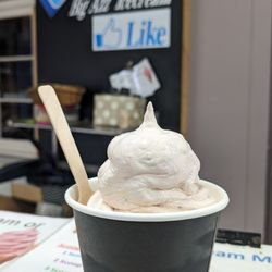 Waitomo Homestead - Real ice cream with kiwi fruit