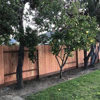 Ascencio’s Handy - Fences & Gates Near Me Ascencio’s Handy - Fences & Gates Near Me