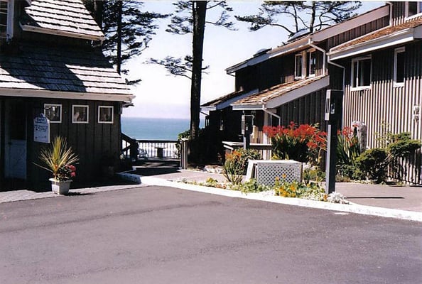 Starfish Point by null