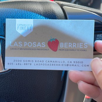 Las Posas Berries - Actual address - Farmers Market Near Me - Camarillo, California