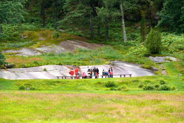 Vitlycke Museum by null