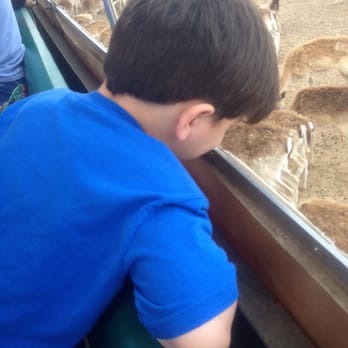 Global Wildlife Center - Zoos Near Me - Folsom, Louisiana