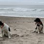 Photo of Sea & Sand Rv Park