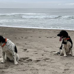 Sea & Sand Rv Park - Pacific Ocean clean sandy beach at Sea and Sand RV Park.