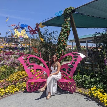 The Flower Fields - Venues & Event Spaces Near Me - Carlsbad, California The Flower Fields - Venues & Event Spaces Near Me - Carlsbad, California