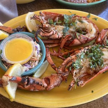 Cafe Coyote - Mexican Near Me - San Diego, California Cafe Coyote - Mexican Near Me - San Diego, California
