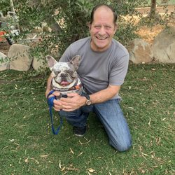 Davis Dynasty French Bulldogs - PAPA BRIAN WITH YOUNG HULK