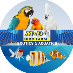 M & D Bird World