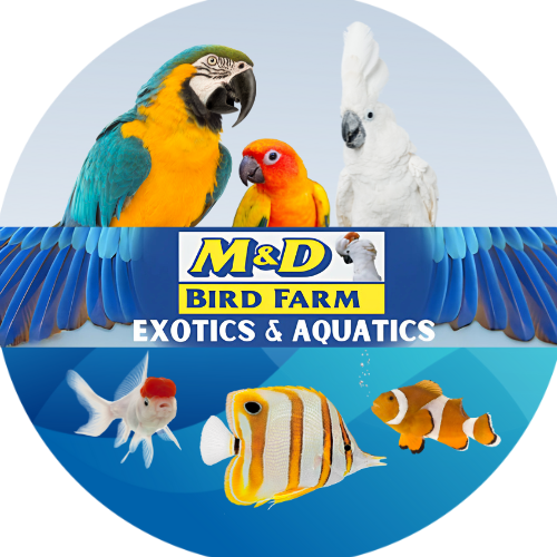 M & D Bird World Image