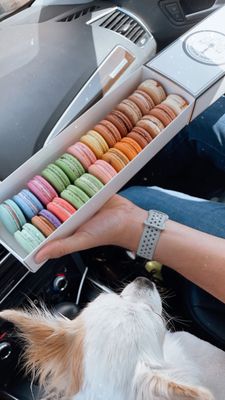 Mon Cheri Macarons by null