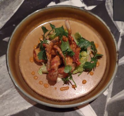 Camino Riviera by null