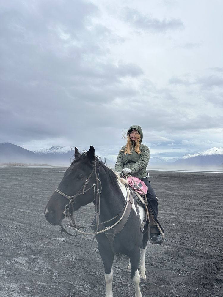 Alaska Horse Adventures - equestrian in Palmer, AK