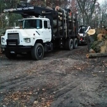 Traditional Tree Service - Tree Services Near Me - Smithtown, New York