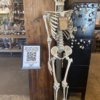 Black Moth - Home Decor Near Me - Tulsa, Oklahoma