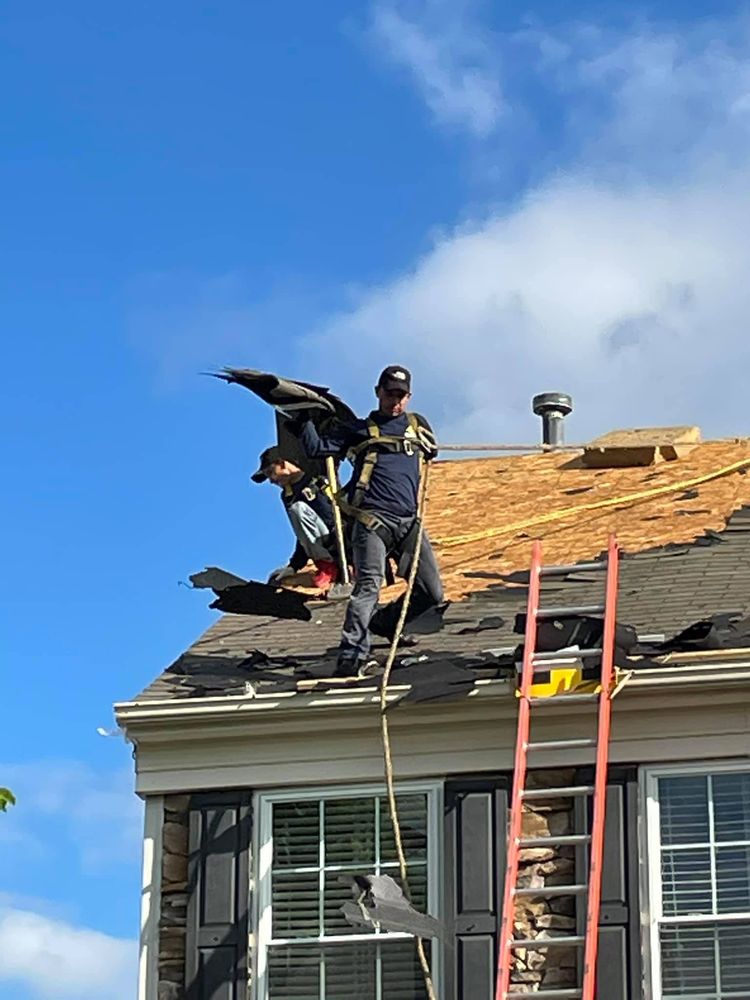 EMPIRE HOME REMODELING Updated August 2024 14 Photos 1515 Martin