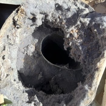 A1 Dryer Vent Cleaning - Exterior cap of the vent. Sooooo caked on. - Appliances & Repair Near Me - Gilbert, Arizona
