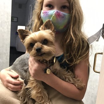 Jonathan J Golab, DDS PA - This is Chewy the therapy dog. My kids look forward to seeing her. - Cosmetic Dentists Near Me - Flower Mound, Texas Jonathan J Golab, DDS PA - This is Chewy the therapy dog. My kids look forward to seeing her. - Cosmetic Dentists Near Me - Flower Mound, Texas