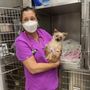 Photo of Compassionate Care Animal Hospital