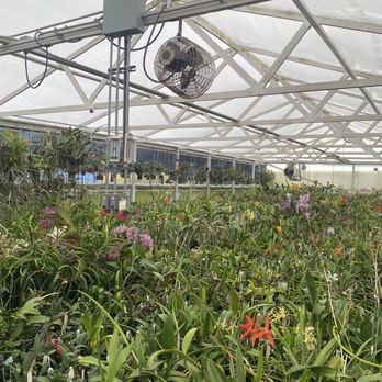 Sunset Valley Orchids, Inc - Nurseries & Gardening Near Me - Vista, California Sunset Valley Orchids, Inc - Nurseries & Gardening Near Me - Vista, California
