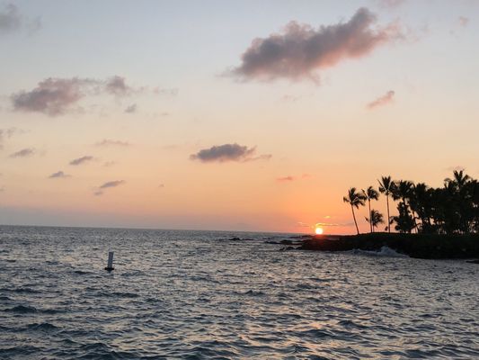 Kanaloa at Kona by null