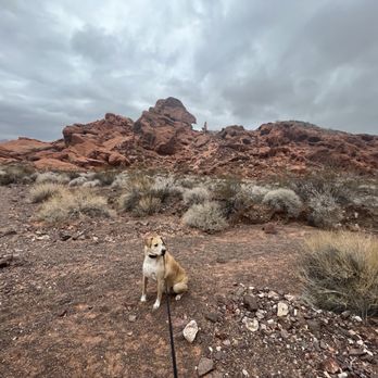 Redstone Dune Hike - Views - Hiking Near Me - Overton, Nevada