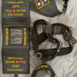 Froggie's Discount Liquor - Kit worn