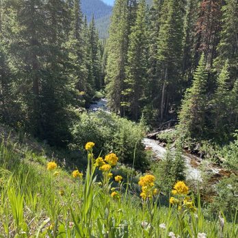 Butler Gulch - Hiking Near Me - CO, Colorado