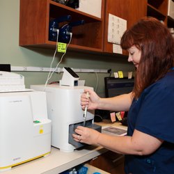 Little Creek Veterinary Hospital - In House Diagnostics