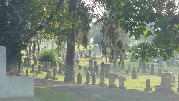 Thornrose Cemetery by null