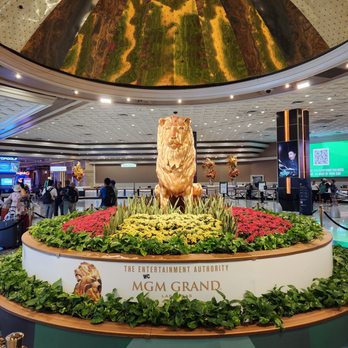 MGM Grand - Hotels Near Me - Las Vegas, Nevada MGM Grand - Hotels Near Me - Las Vegas, Nevada