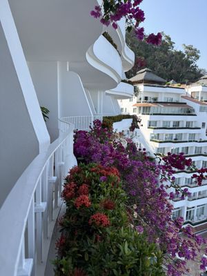 Grand Miramar Resort by null