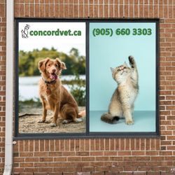 Concord Veterinary Hospital