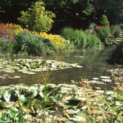 Jardin Botanique - Jardin botanique de Metz
