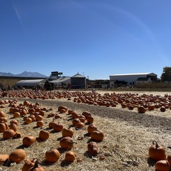 The Kinlands - Farmers Market Near Me - Riverton, Utah