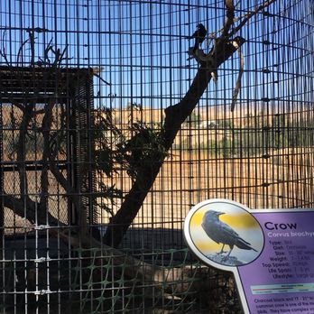 CALM Zoo - Zoos Near Me - Bakersfield, California