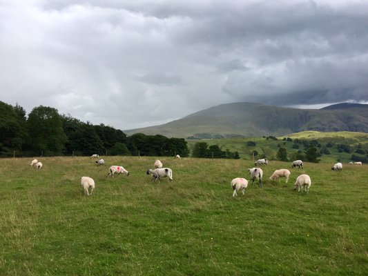 Castlerigg Stone Circle by null