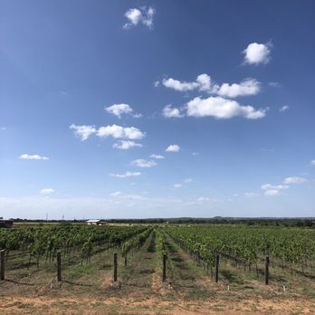 Hilmy Cellars - Wineries Near Me - Fredericksburg, Texas Hilmy Cellars - Wineries Near Me - Fredericksburg, Texas