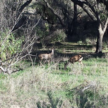 Whiting Ranch Wilderness Park - Parks Near Me - Foothill Ranch, California Whiting Ranch Wilderness Park - Parks Near Me - Foothill Ranch, California