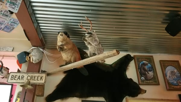 Big O Saloon by null