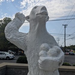 Edgehill Polar Bears - Edgehill Polar Bears, Nashville