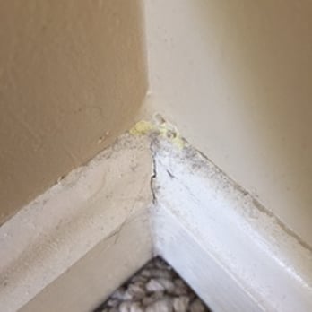 iQ Cleaning - After: Baseboards - Home Cleaning Near Me - Washington, DC, District of Columbia